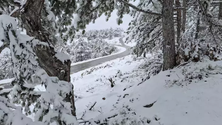 Nisan ortasında kış geri dönüyor! Ankara'ya o tarihte kar bile yağacak