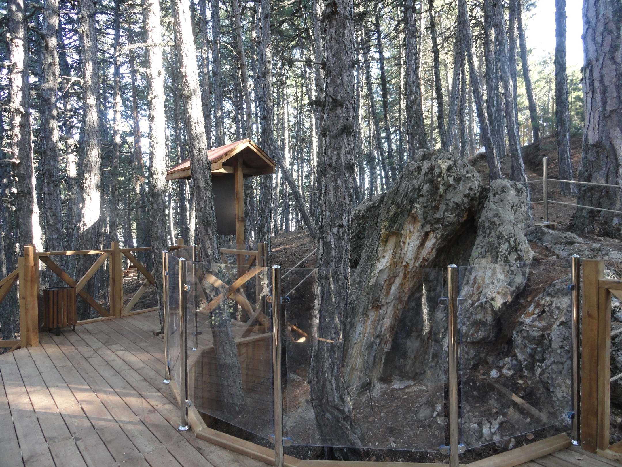 De65A38F 3Eba 4Ab6 93Bb B11558287B46 D S C05286