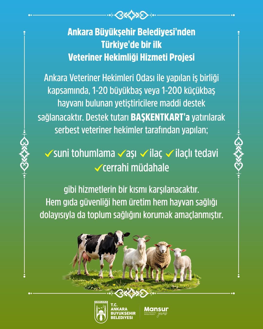 H C Ze0A7 Wo A A Hsq W