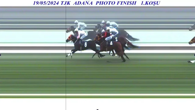 Kavurma Yapilan Atin Sahibi Se 19653123 3742 1 M