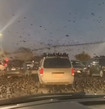 Screenshot 2026 03 25 At 14 51 18 (1) Anasayfa X