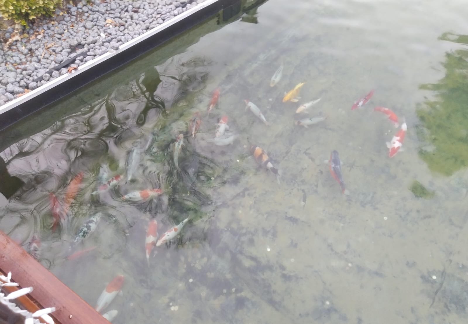 94052E8B E949 42C8 8Fcd B4B6133A6670