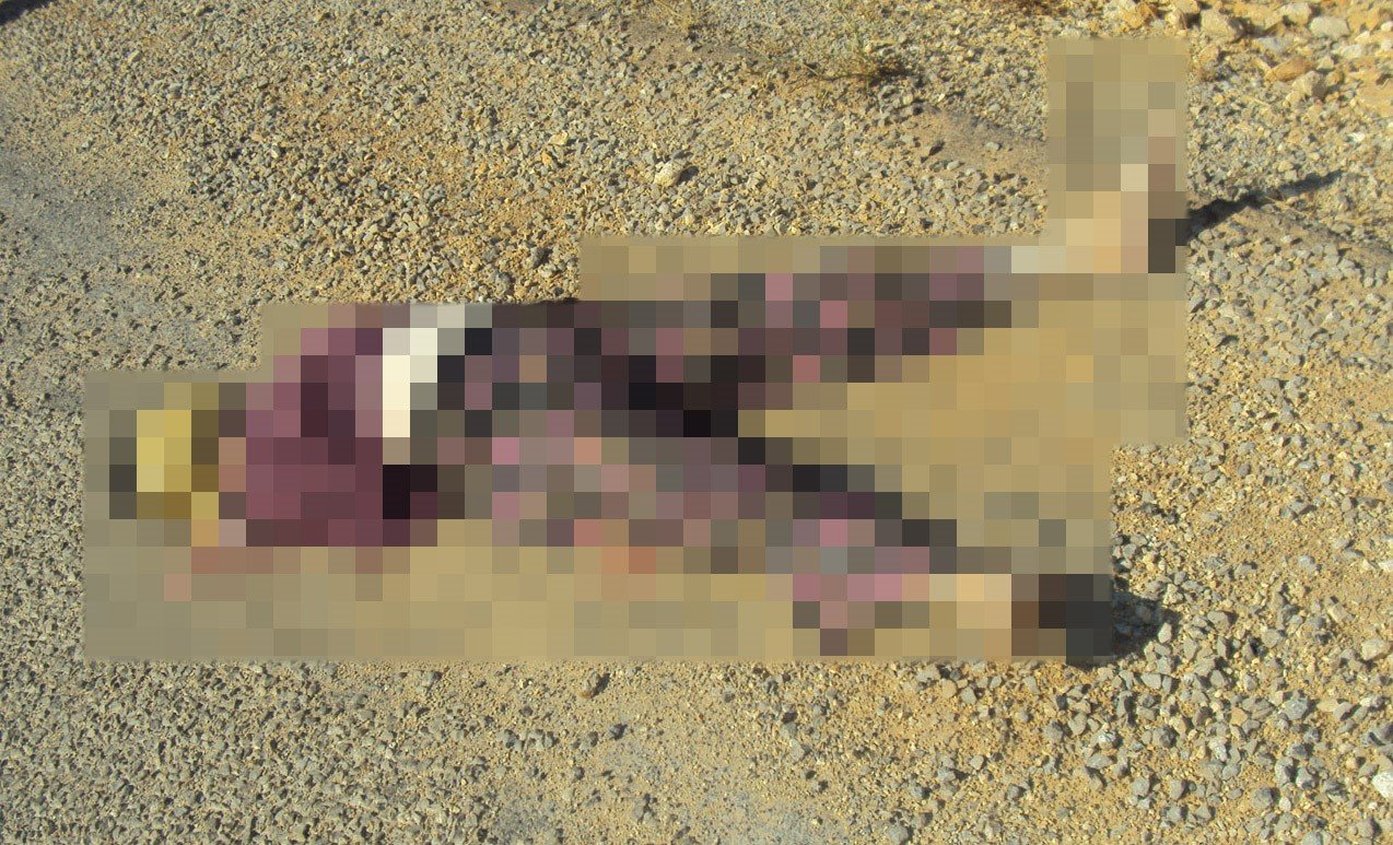 Elleri ve ağzı bağlı şekilde boğularak öldürülmüştü! 15 yıllık cinayetin sırrı çözüldü