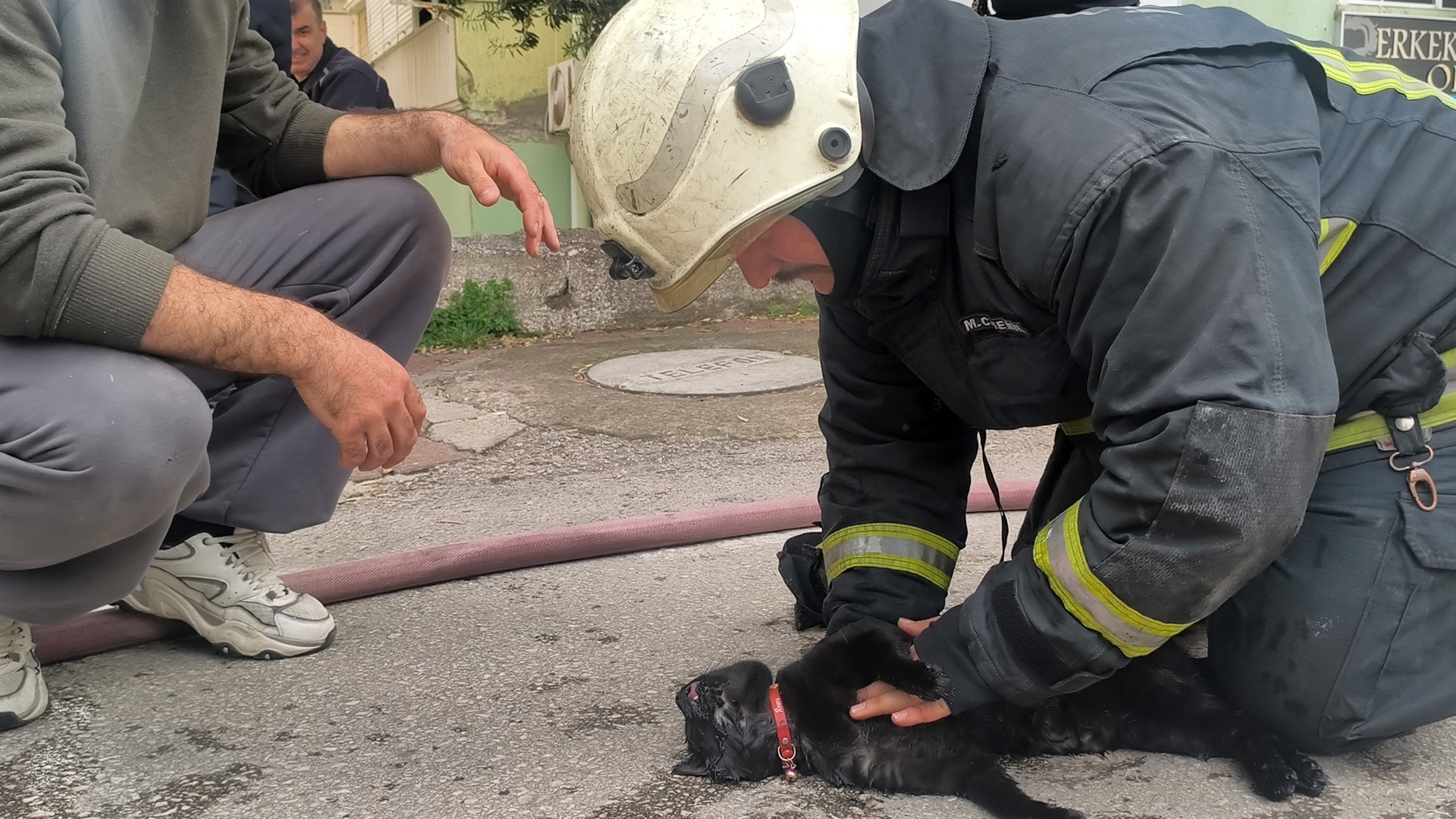 Antalya’da yangında mucize kurtuluş: İtfaiye eri kediyi kalp masajıyla hayata döndürdü