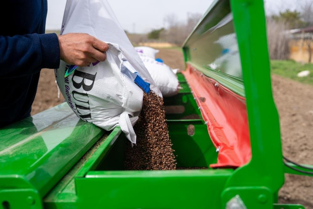 Ankara'da karabuğday seferberliği! 2026 Ekim çalışmaları resmen başladı