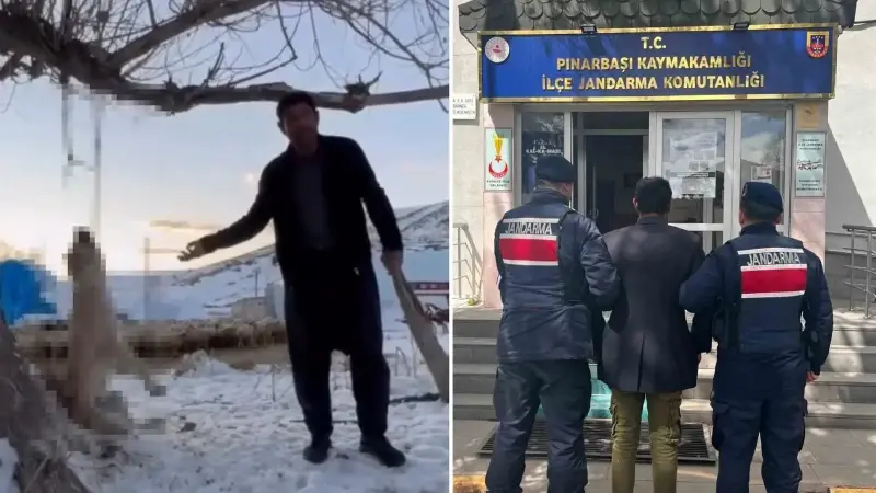 Kayseri’de vahşet: Köpeğini ağaca asan şahıs gözaltına alındı