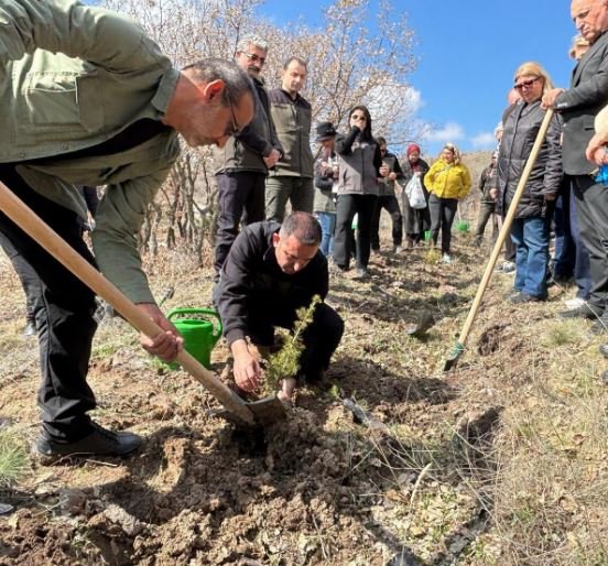 Ankara Ayaş Hatıra Ormanı Türkiye Noterler Birliği