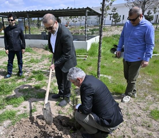 Bahar Şenliği Ankara