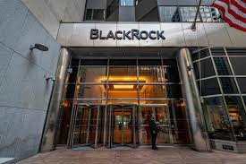 BlackRock Sahibi Kim, Yahudi mi? BlackRock şirketi Erdoğan ile neden görüştü?