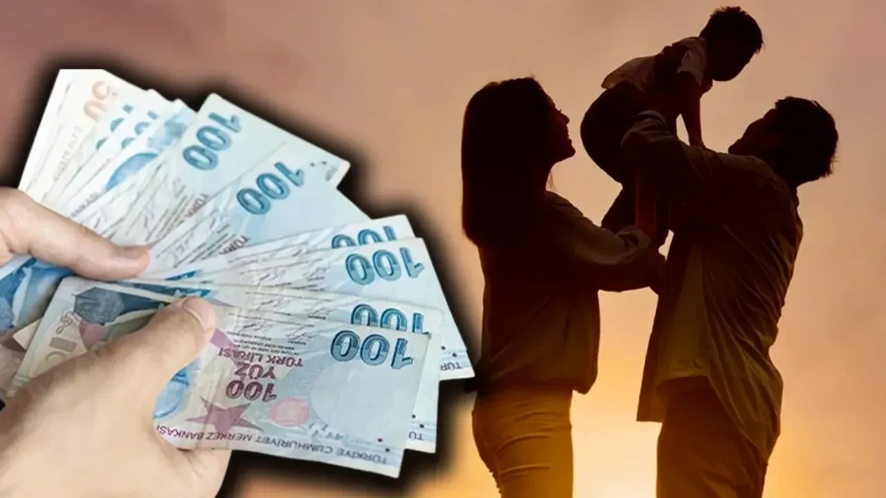 Dogum Izni Icin Yeni Odeme Tablosu Belli Oldu Sgkli Anneye 123 Bin Memur Anneye 247 B 3295476 Photogallery 4