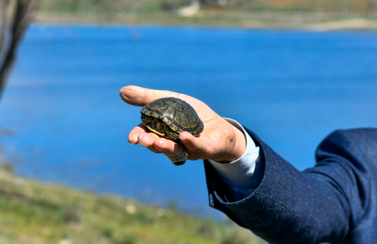 Kızılca Göleti (6)