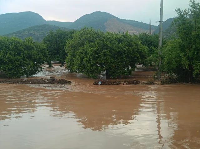 Kozanda Sel Faciasi Aractan At 19791619 4914 1 M