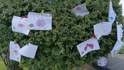 Tbmm Meclis Bahçesi Çocuk Bahçesi Etkinliği