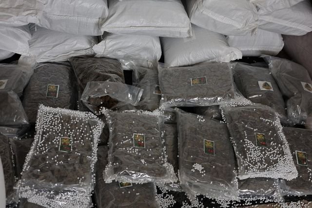 Turkiye Ve Suriye Den Ortak Uyusturucu Operas 4 19781066 O