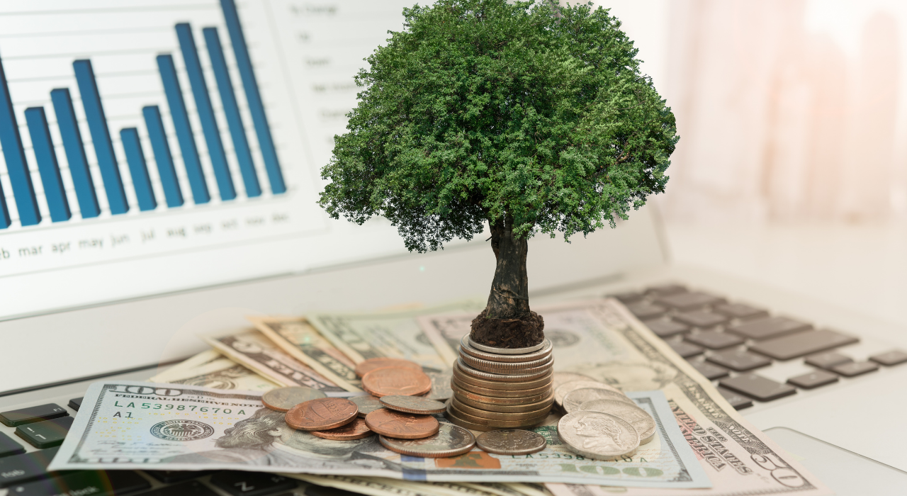 Yatırım Para Piyasa (1)