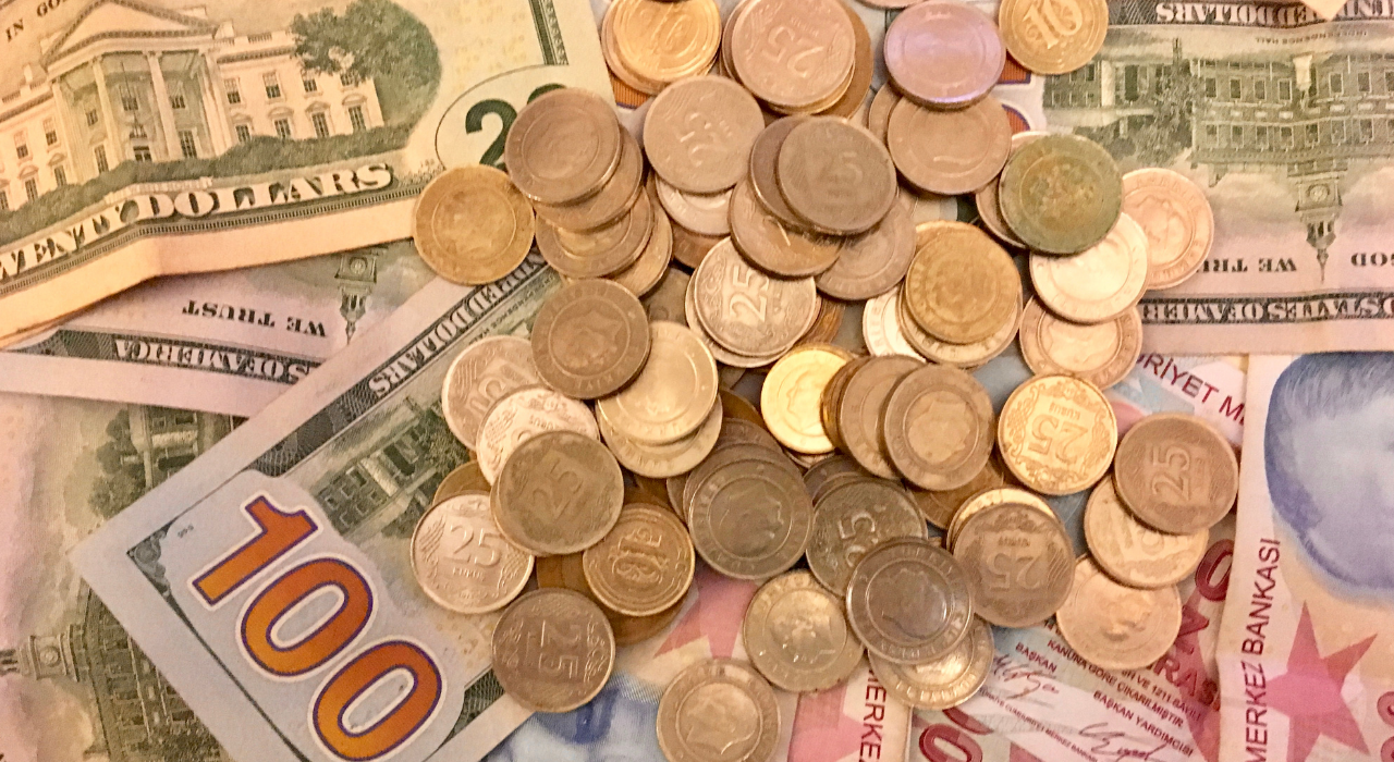 Yatırım Para Piyasa (2)