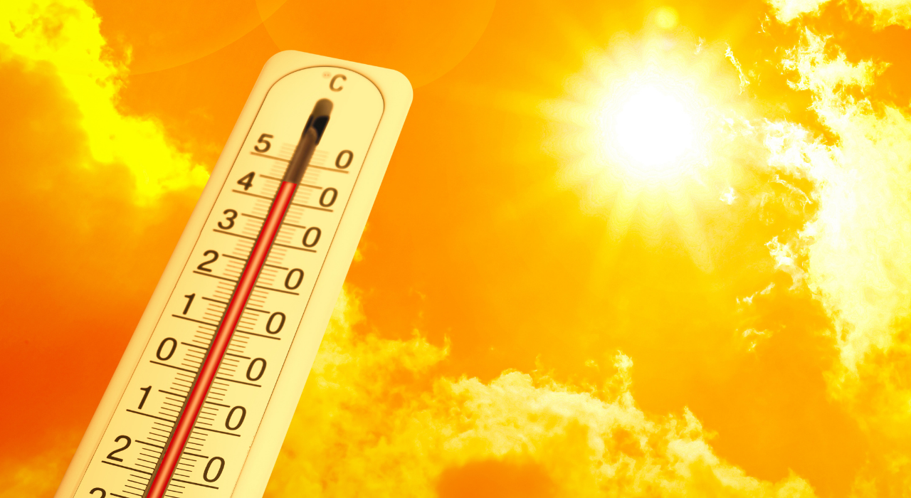 Bahar gelmeden yaz korkuttu... El Nino gelecek, Ankara yanacak!