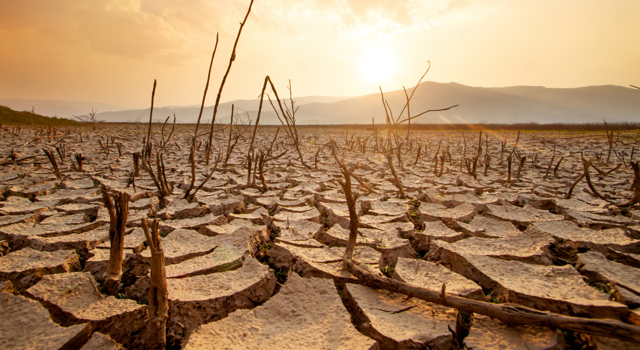 Yaz Sıcaklık Sıcak Hava (3)