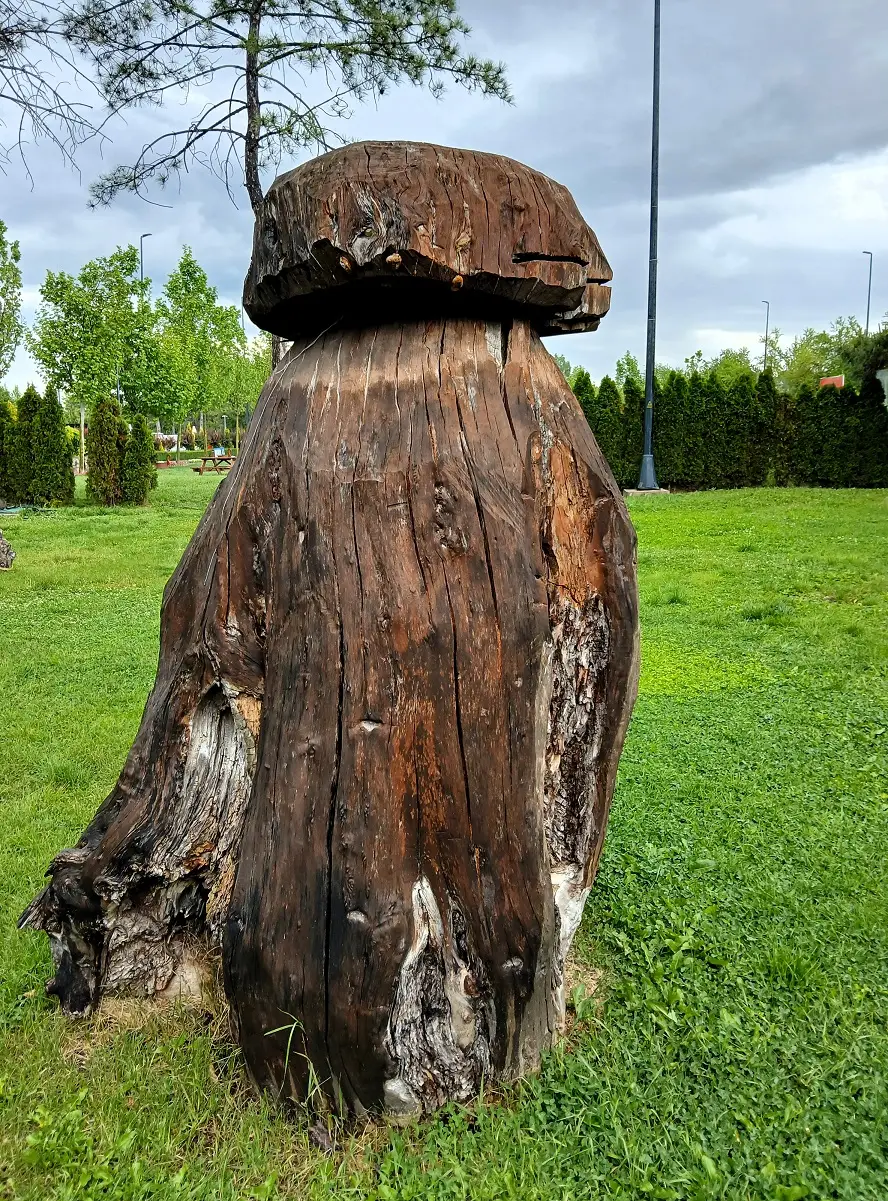 Atatürk Orman Çiftliği Aoç Gazi Park (4)