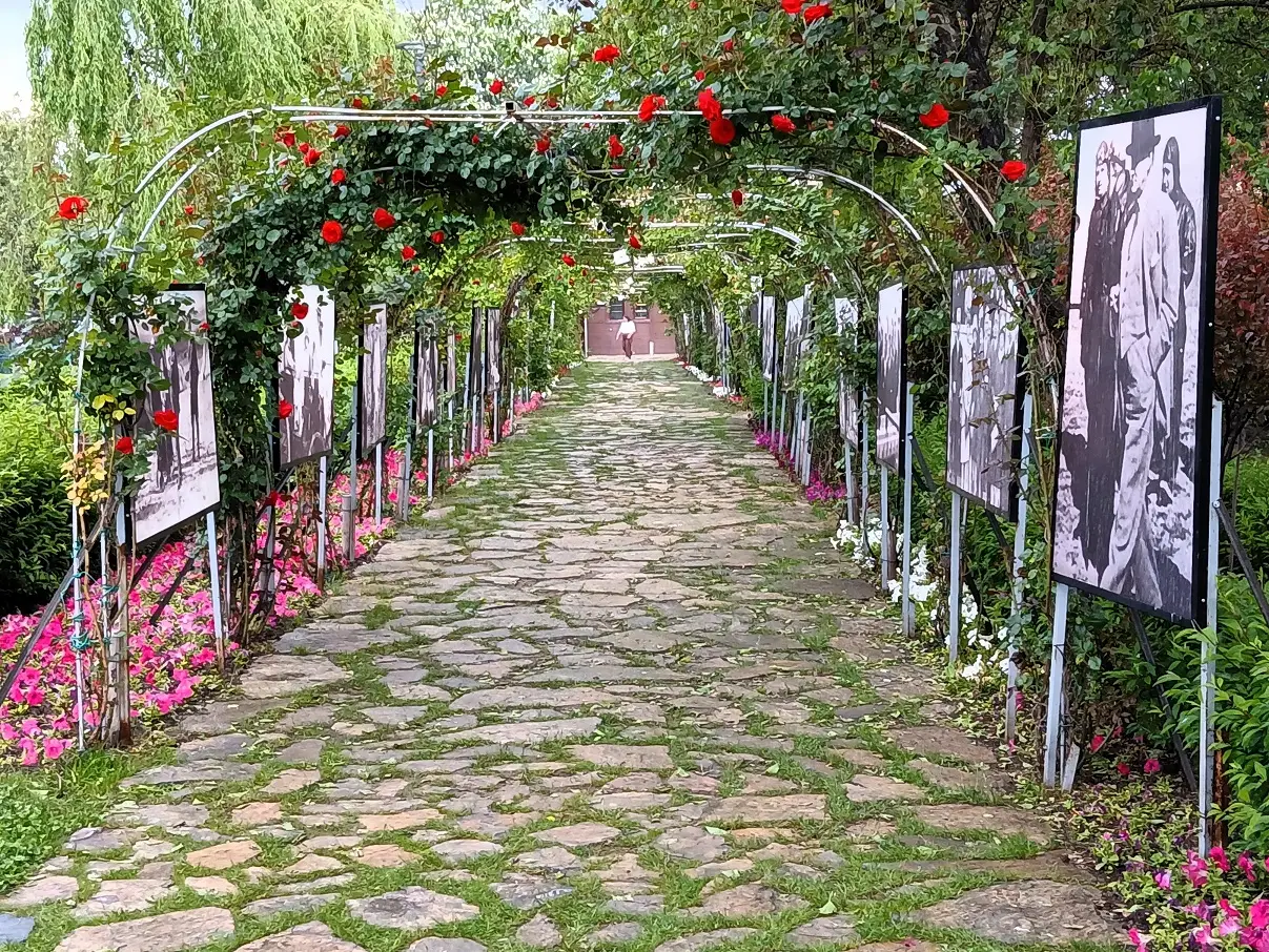 Atatürk Orman Çiftliği Aoç Gazi Park (6)