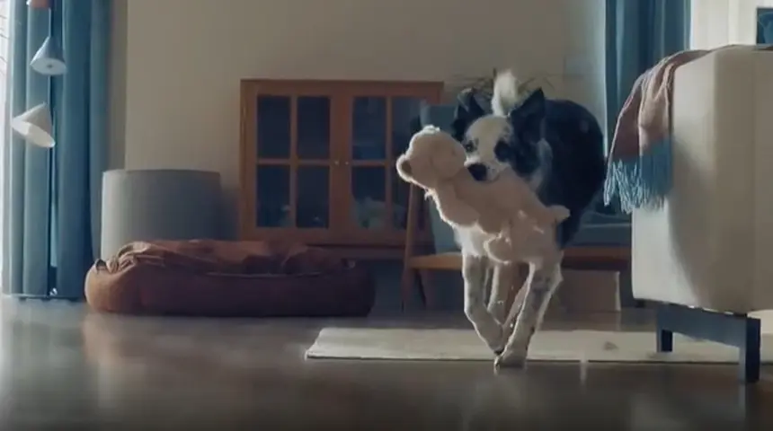 Bosch'un Reklam Filmi