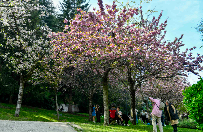 Ekran Görüntüsü 2026 05 13 170014