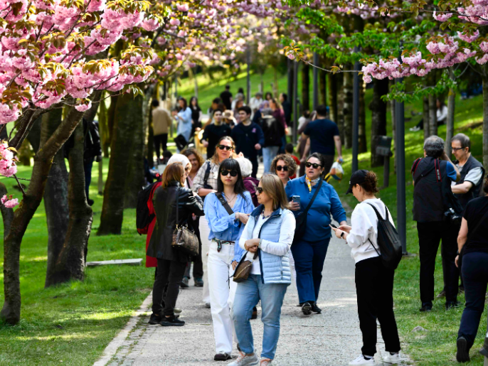 Ekran Görüntüsü 2026 05 13 170049