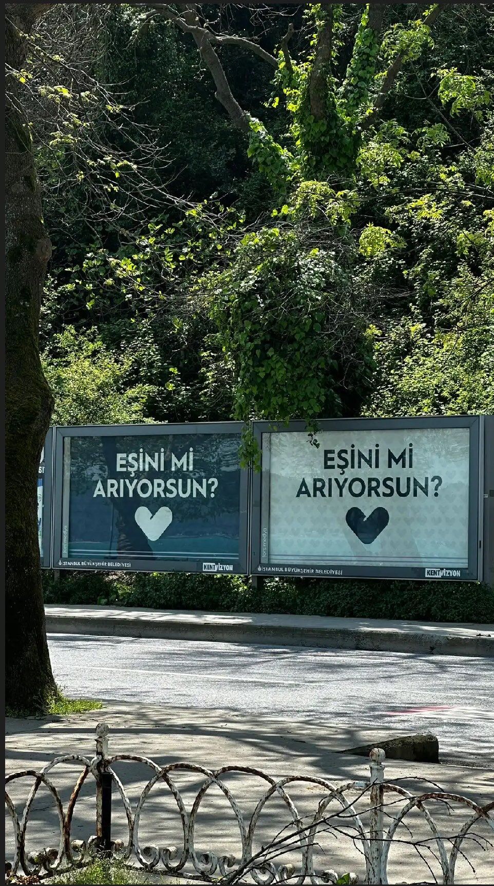 Eşini Mi Arıyorsun