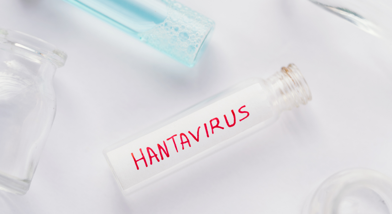 Hantavirüs (1)-1