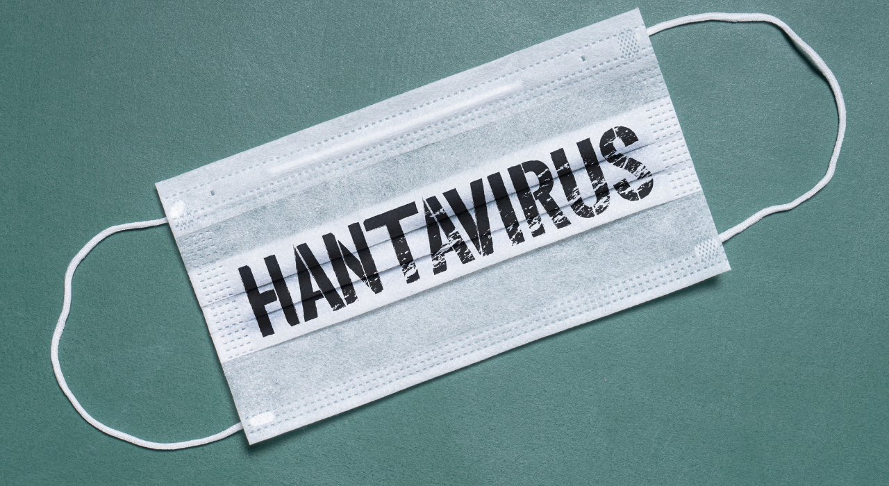 Hantavirüs (3)-1