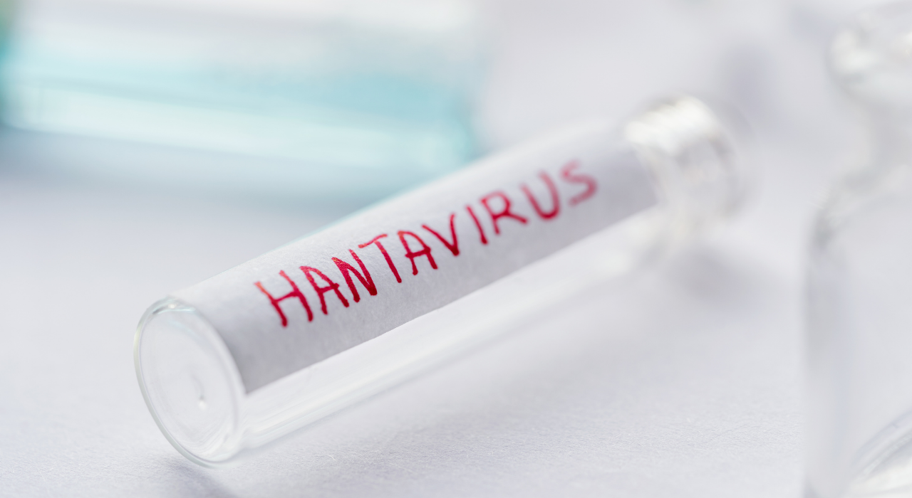 Hantavirüs (3)