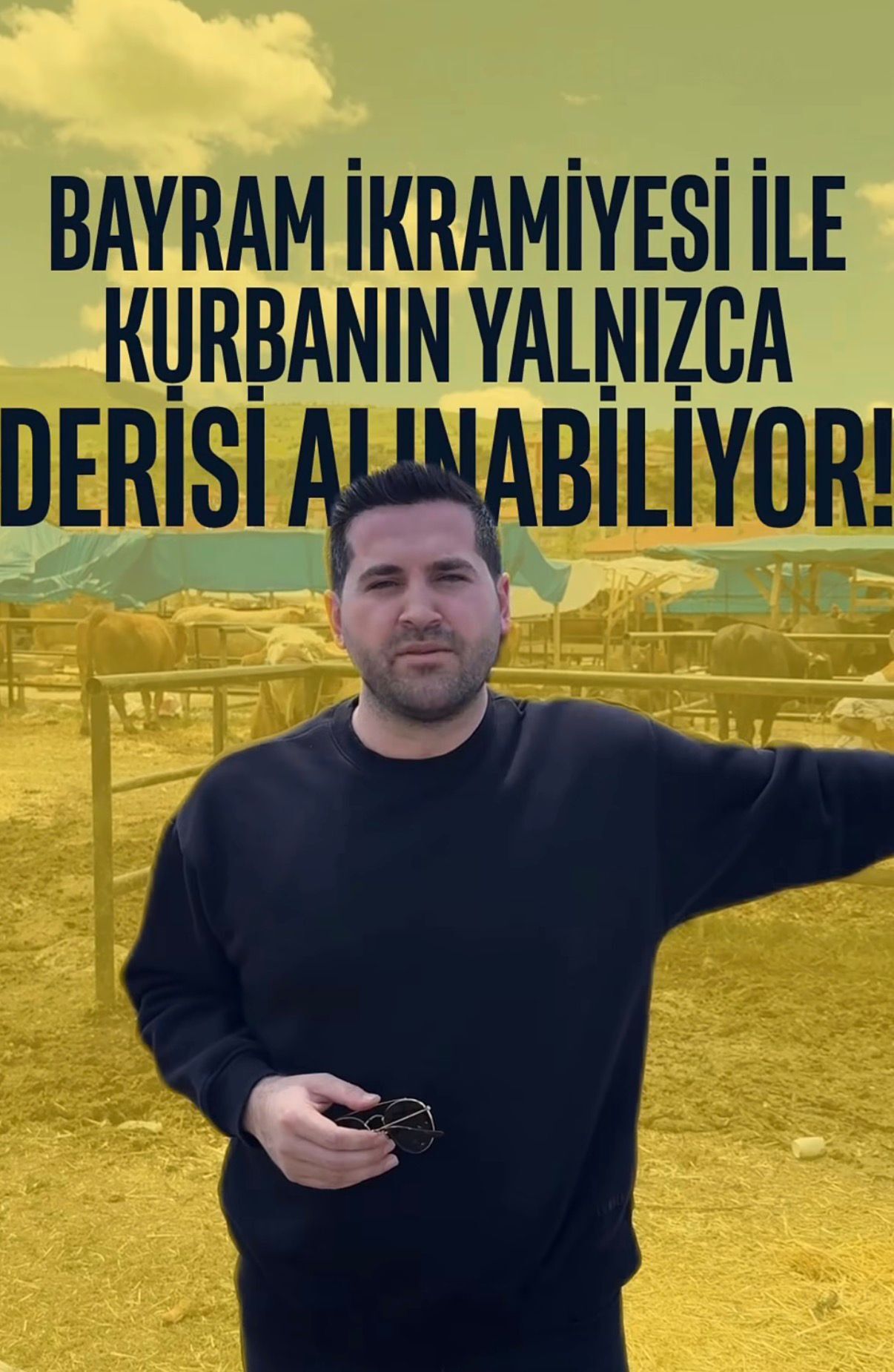 Kurbanlık Fiyatları Çorum Fatih Koca (1)