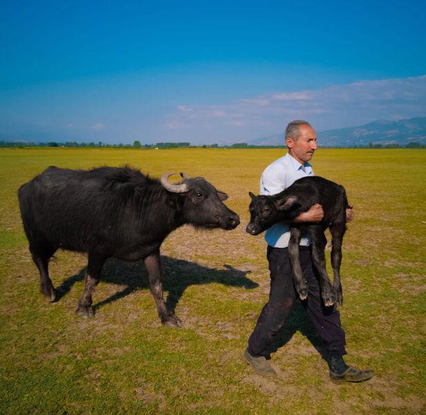 Mehmet Emin Coruş Fotoğraf.jpg 2