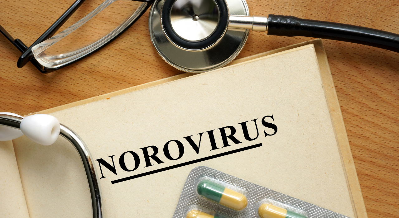 Norovirüs (2)