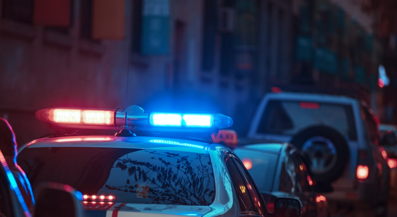 Polis (1)