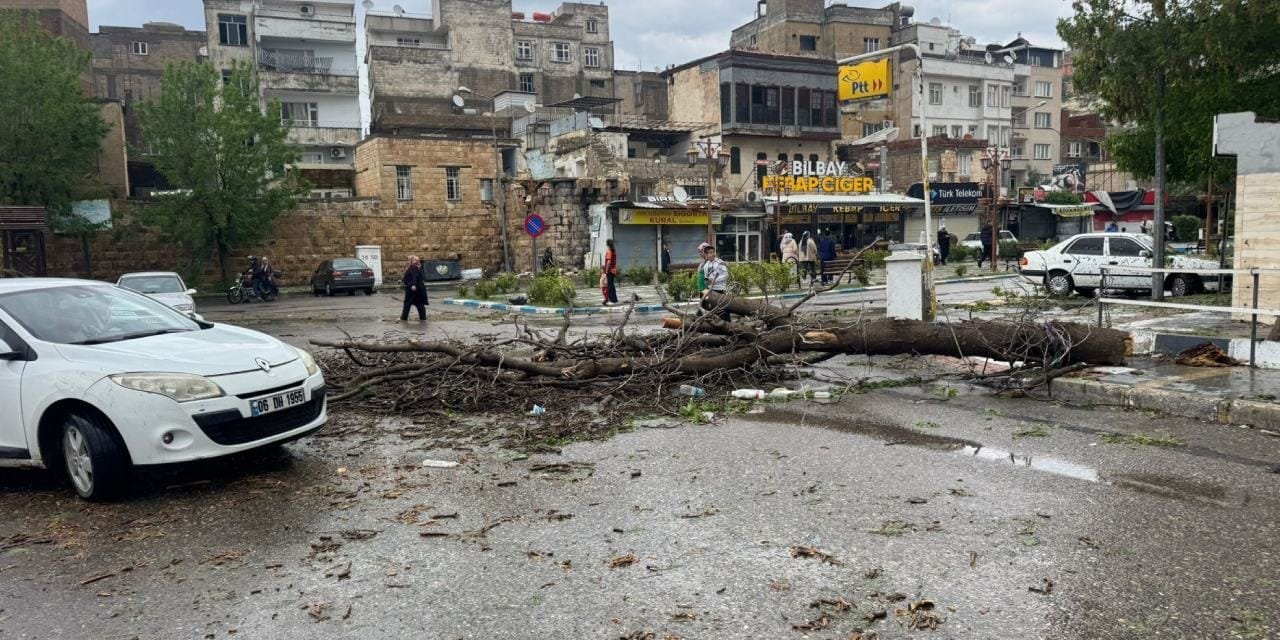 Yeni Proje 16-5