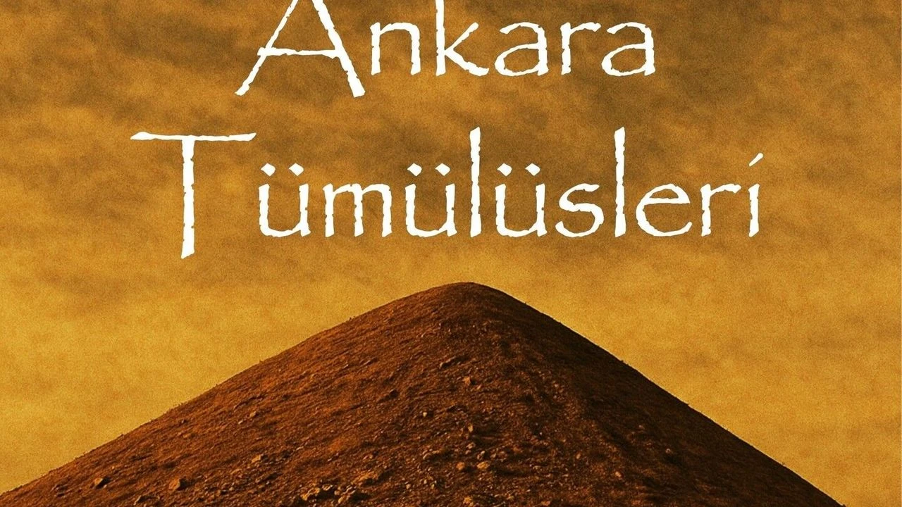 A N K A R A T U M U L U S L E R I 1