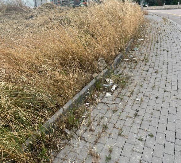 Ankara Susuz Mahallesi