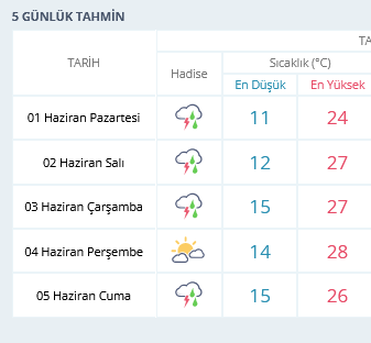 Screenshot 2026 06 01 At 10 53 14 Ankara Için Anlık Hava Durumu Saatlik Ve 5 Günlük Hava Tahmini Meteoroloji Genel Müdürlüğü