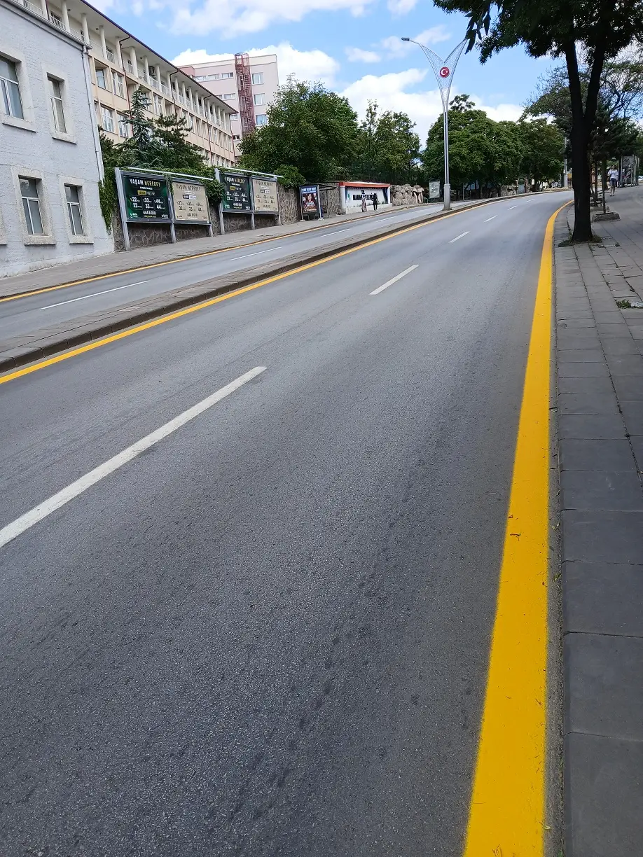 Tıp Fakültesi Caddesi Sarı Yol Çizgileri Natoyolu Güzergahı Nato Liderler Zirvesi (3)