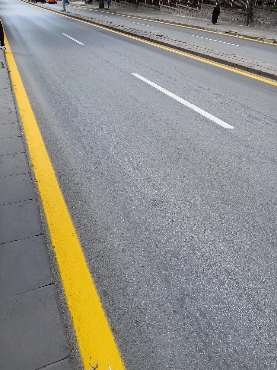 Tıp Fakültesi Caddesi Sarı Yol Çizgileri Natoyolu Güzergahı Nato Liderler Zirvesi (5)