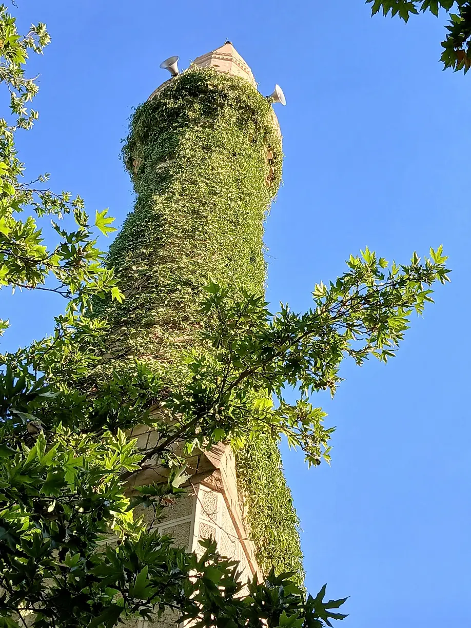 Altındağ Siteler Doğantepe Mobilyacılar Uğurlu Camii Sarmaşıklı Minare (7)