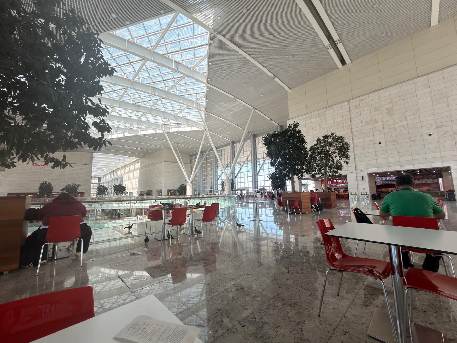 Ankara Atg Avm Halk Sağlığı Kuş Sorunu (3)