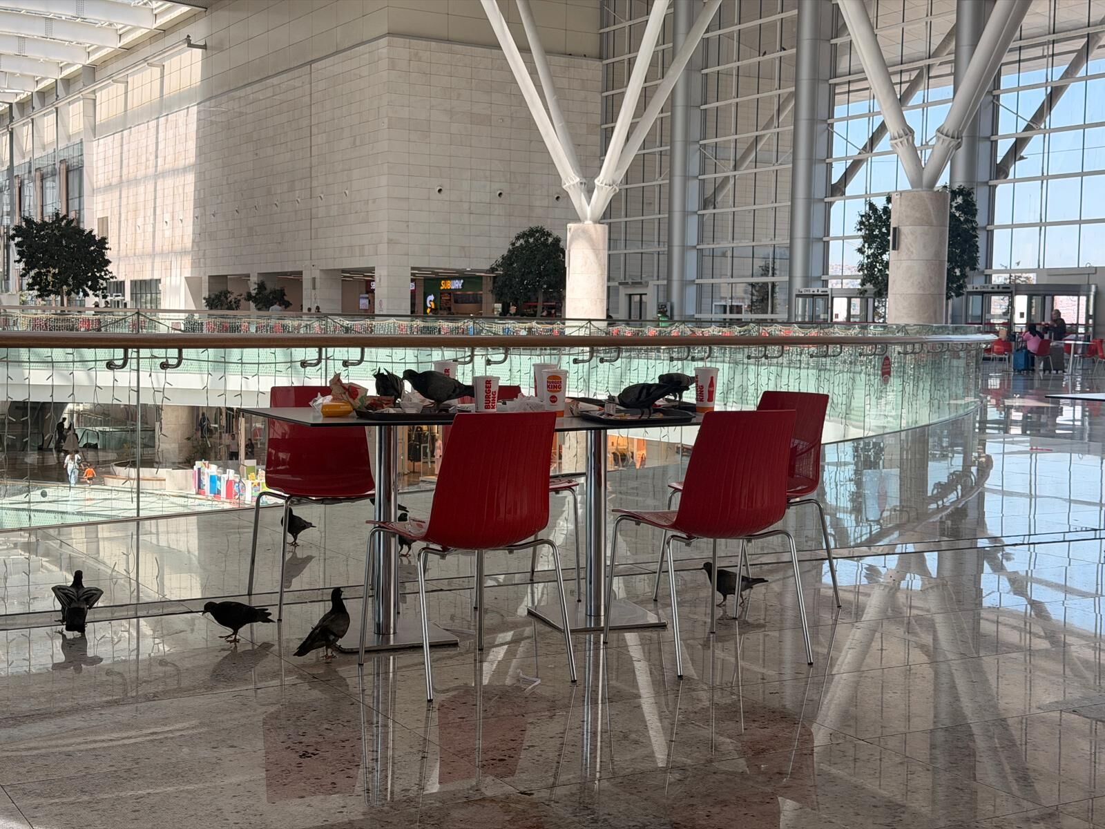 Ankara Atg Avm Halk Sağlığı Kuş Sorunu (4)