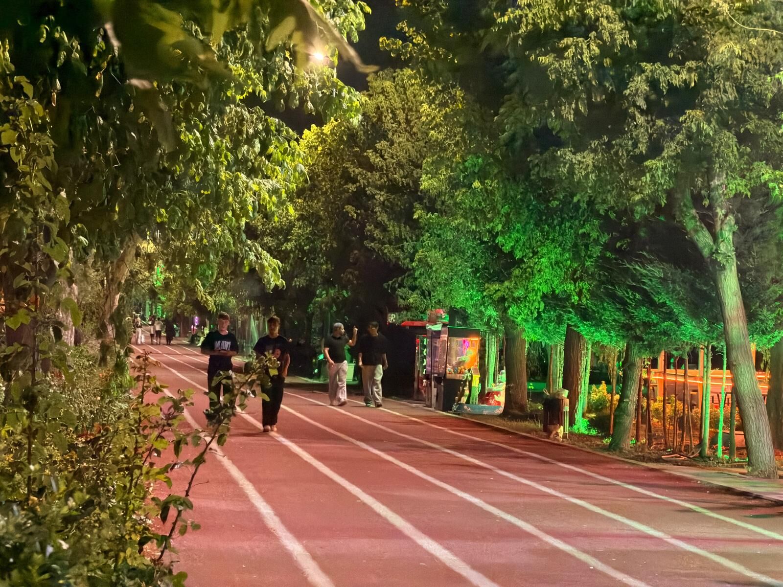 Ankara Yürüyüş Yapilacak Parklar Zeynepci̇k Parki (2)