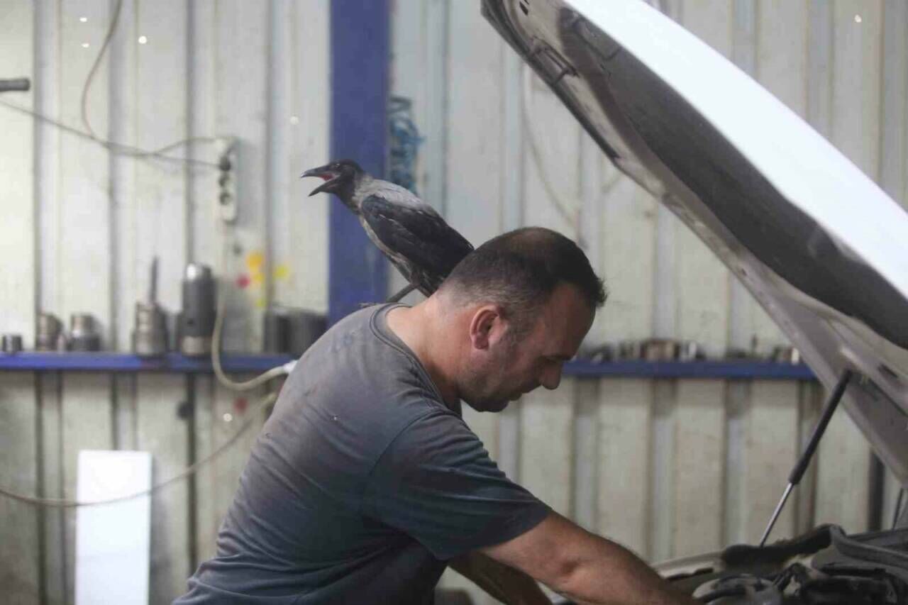 Bursada Boyle Dostluk Gorulmedi Ilginc Hikaye Hayrete Dusurdu 0D7D57F69797