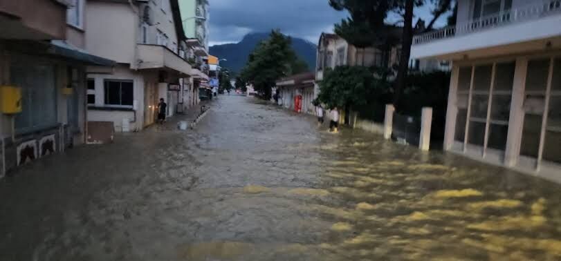 Cide Sel