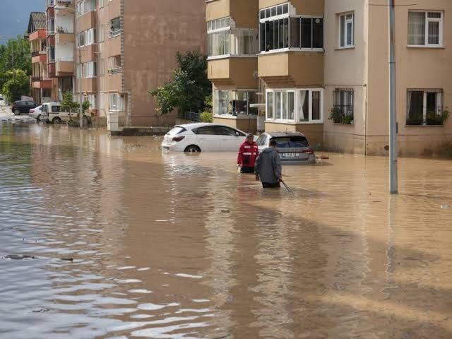 Cide Sel1