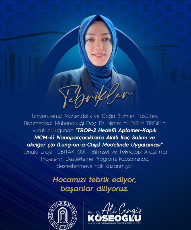 Aybü Tübitak