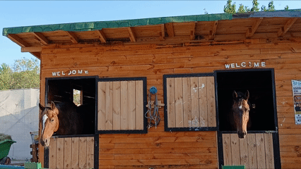 Çankaya Binicilik Kulübü Pony Park Uğur Mumcu Parkı Çukurambar (3)